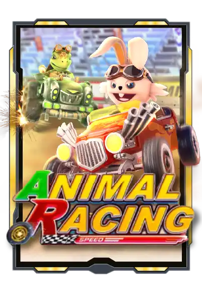 animal-racing